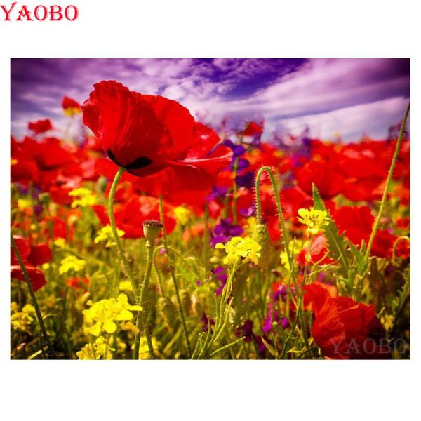 paintings full drill diamond embroidery poppy flowers 5d diy painting cross stitch hobby picture mosaic manual decor
paintings full drill diamond embroidery poppy flowers 5d diy painting cross stitch hobby picture mosaic manual decor
