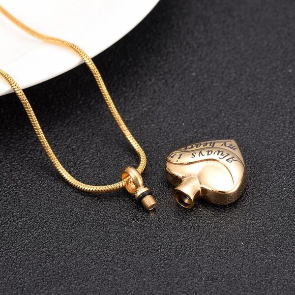 ijd10058 stainless steel always in my heart cremation memorial gold pendant for ashes urn keepsake souvenir necklace, Silver
ijd10058 stainless steel always in my heart cremation memorial gold pendant for ashes urn keepsake souvenir necklace, Silver