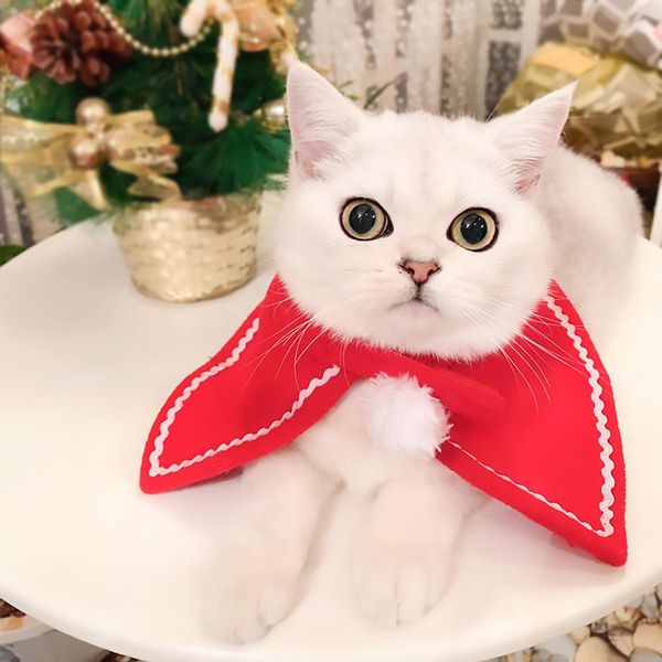 цифу кошка собака рождественские костюма красная рождественская шляпа и плащ веселые рождественские украшения рождественские питомцы подарок
цифу кошка собака рождественские костюма красная рождественская шляпа и плащ веселые рождественские украшения рождественские питомцы подарок