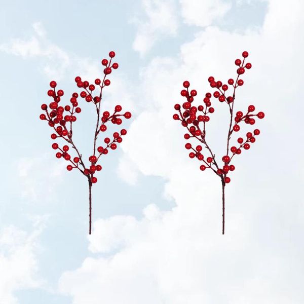 decorative flowers & wreaths 2pcs artificial plant lifelike simulation jequirity bean oranament christmas decoration party supplies (red)
decorative flowers & wreaths 2pcs artificial plant lifelike simulation jequirity bean oranament christmas decoration party supplies (red)