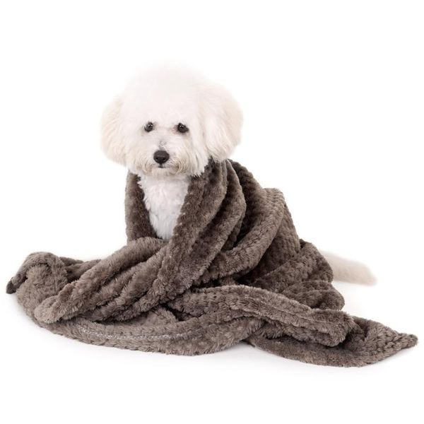 cushion cover couch sofa solid flannel home furniture protector pet puppies for bed warm thickened mat soft dog blanket
cushion cover couch sofa solid flannel home furniture protector pet puppies for bed warm thickened mat soft dog blanket