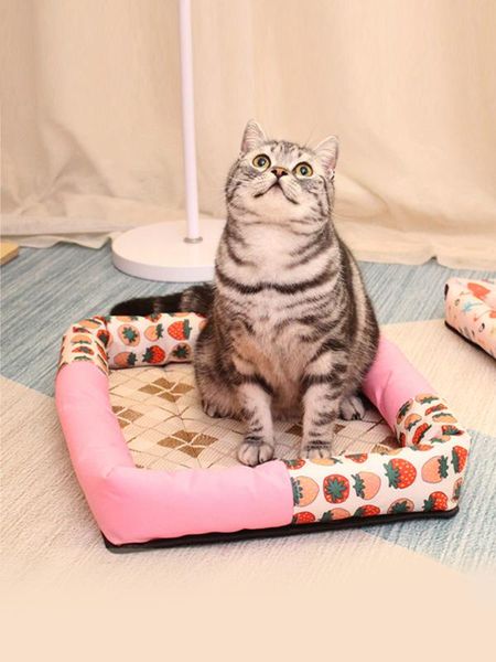 pet dog mat cooling summer pad mat for dogs cat blanket sofa breathable pet dog bed summer cooling pads washable mats
pet dog mat cooling summer pad mat for dogs cat blanket sofa breathable pet dog bed summer cooling pads washable mats