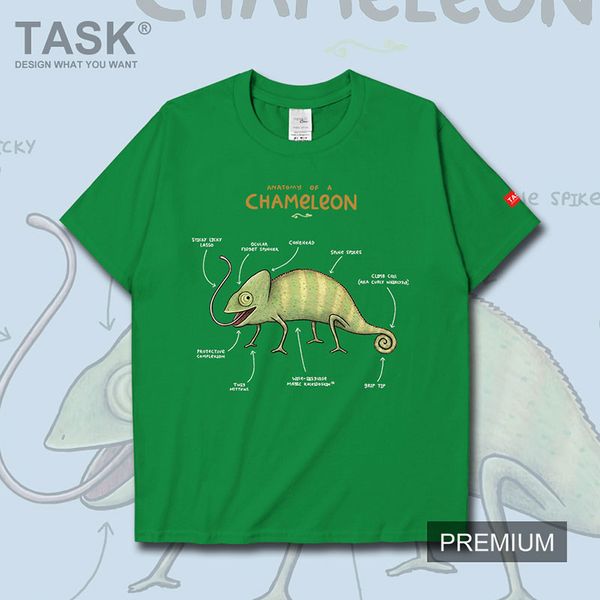 lizard chameleon analysis chart fun cartoon pattern mens t shirt meeting fashion short sleeve t shirt for men clothes summer, White;black
lizard chameleon analysis chart fun cartoon pattern mens t shirt meeting fashion short sleeve t shirt for men clothes summer, White;black