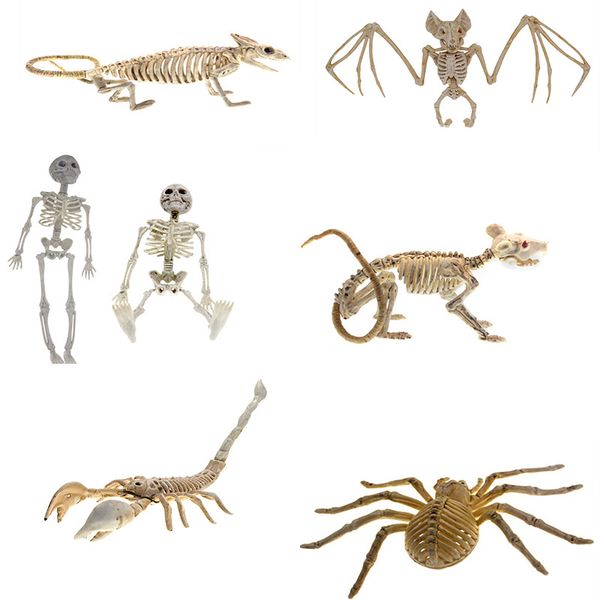 style halloween scary animal big skeleton flying bat skeleton stage decoration haunted house halloween decorations party supplies
style halloween scary animal big skeleton flying bat skeleton stage decoration haunted house halloween decorations party supplies