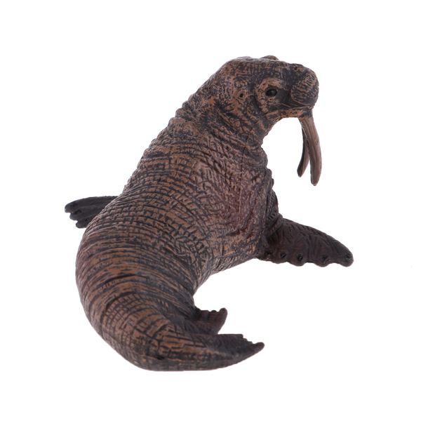 пластиковые твердая морских животных модель океана существа walrus модель украшения игрушки
пластиковые твердая морских животных модель океана существа walrus модель украшения игрушки
