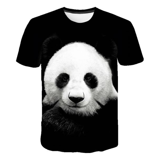 2019 new arrival stringer men china post shipping biker life usa men's work sucks rider tee shirt homme
2019 new arrival stringer men china post shipping biker life usa men's work sucks rider tee shirt homme