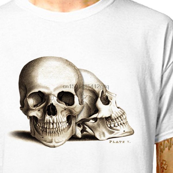 t shirt skulls anatomical drawing 100% cotton tees (lazycarrot) medical student nurse doctor gothic skeleton
t shirt skulls anatomical drawing 100% cotton tees (lazycarrot) medical student nurse doctor gothic skeleton