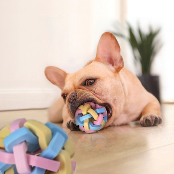 colorful braided bell ball dog chew sounding toy puppy interactive training elastic balls pet molar teeth biting game ball
colorful braided bell ball dog chew sounding toy puppy interactive training elastic balls pet molar teeth biting game ball