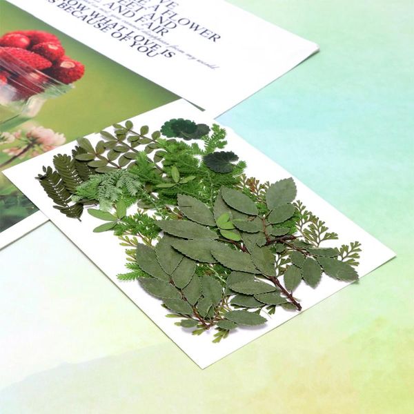 real dried leaves dried pressed leaf plants specimen diy accessories for craft resin jewelry making (7 patterns, natural color s
real dried leaves dried pressed leaf plants specimen diy accessories for craft resin jewelry making (7 patterns, natural color s