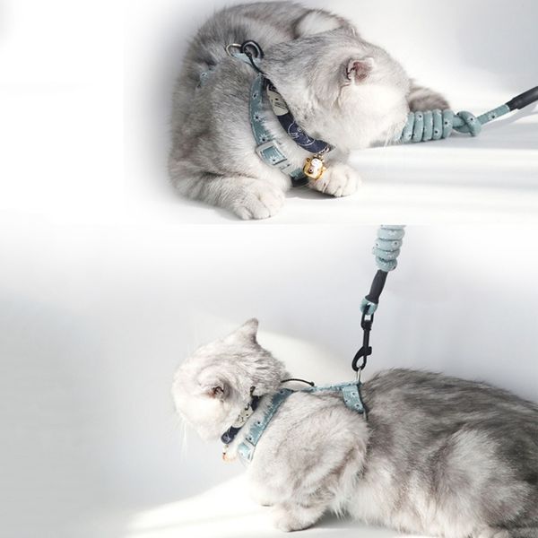 dog collars & leashes puppy cat harness and leash set for walking, escape proof adjustable soft vest harnesses with 2021
dog collars & leashes puppy cat harness and leash set for walking, escape proof adjustable soft vest harnesses with 2021