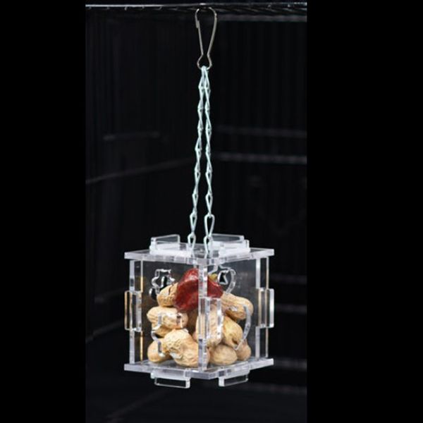 bird cage hanging accessories feeding food clear container feed box feeder