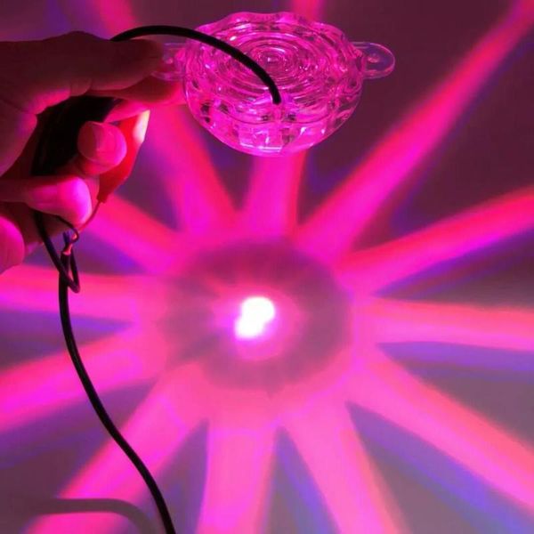 motorcycle chassis lights colorful led light anti-fog tail lights chassis electric car decoration
motorcycle chassis lights colorful led light anti-fog tail lights chassis electric car decoration