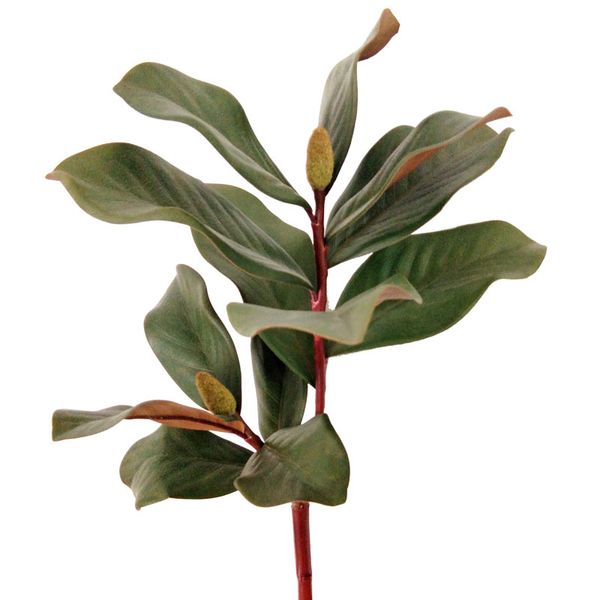 decorative flowers & wreaths diy orchid magnolia wedding artificial simulation leaf branch decor home el decorations
decorative flowers & wreaths diy orchid magnolia wedding artificial simulation leaf branch decor home el decorations