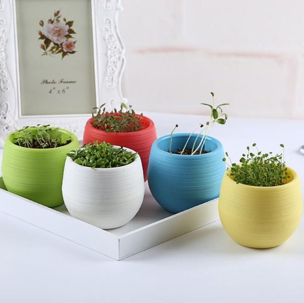 mini round plastic plant flower pots colorful home office planters decorative pots for bedroom living room lx1061
mini round plastic plant flower pots colorful home office planters decorative pots for bedroom living room lx1061