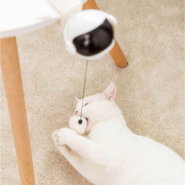 electronic motion cat toy lifting ball funny cat teaser toy electric flutter rotating interactive pet pet supplies
electronic motion cat toy lifting ball funny cat teaser toy electric flutter rotating interactive pet pet supplies