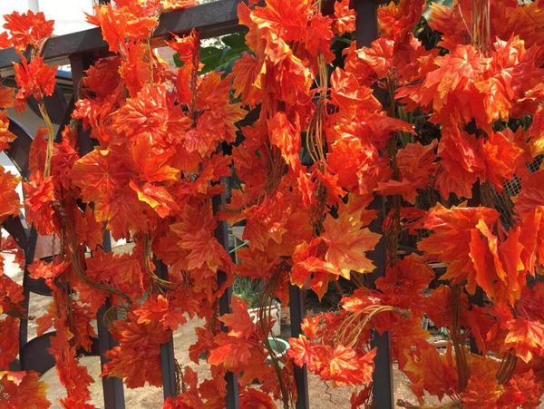 decorative flowers & wreaths high simulation fabric red vine,home garden balcony store artificial plant leaves ivy, 50pcs
decorative flowers & wreaths high simulation fabric red vine,home garden balcony store artificial plant leaves ivy, 50pcs
