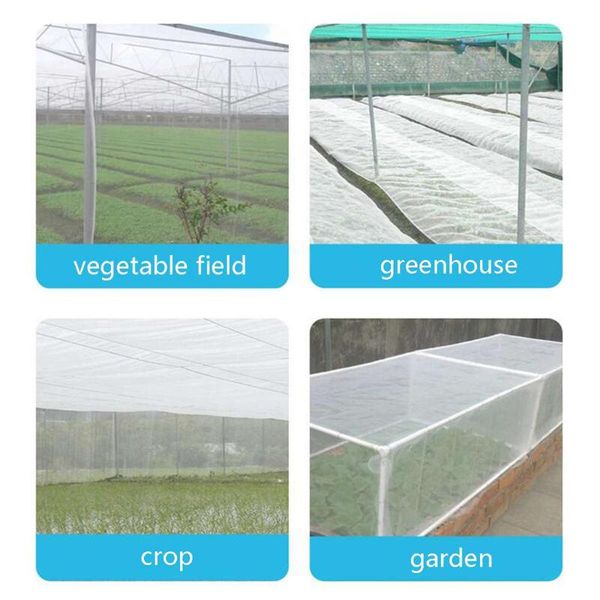 38# fence vegetables fruit flowers plant protection greenhouse garden net 3x10m plant protection greenhouse garden netting
38# fence vegetables fruit flowers plant protection greenhouse garden net 3x10m plant protection greenhouse garden netting