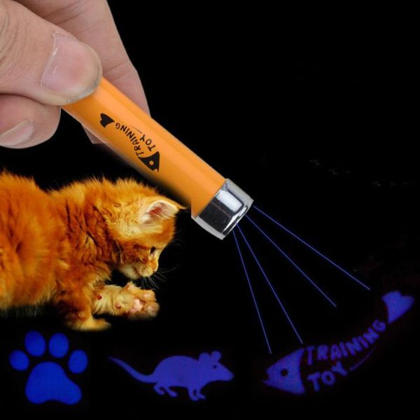 cat toys laser funny stick fish mouse animation led lazer pointer pen play for dog kitten pets
cat toys laser funny stick fish mouse animation led lazer pointer pen play for dog kitten pets