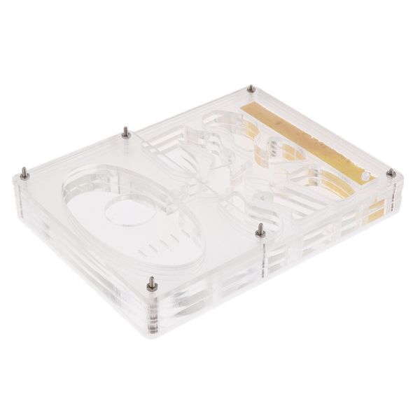 ant pet castle house прозрачный террариум детские экологические развивающие игрушки 13 x 10 x 2 см
ant pet castle house прозрачный террариум детские экологические развивающие игрушки 13 x 10 x 2 см
