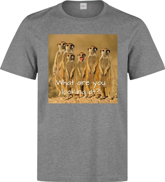 2019 new summer men fashion meerkats what are you looking at funny slogan men (woman available) grey t shirt tee shirt
2019 new summer men fashion meerkats what are you looking at funny slogan men (woman available) grey t shirt tee shirt