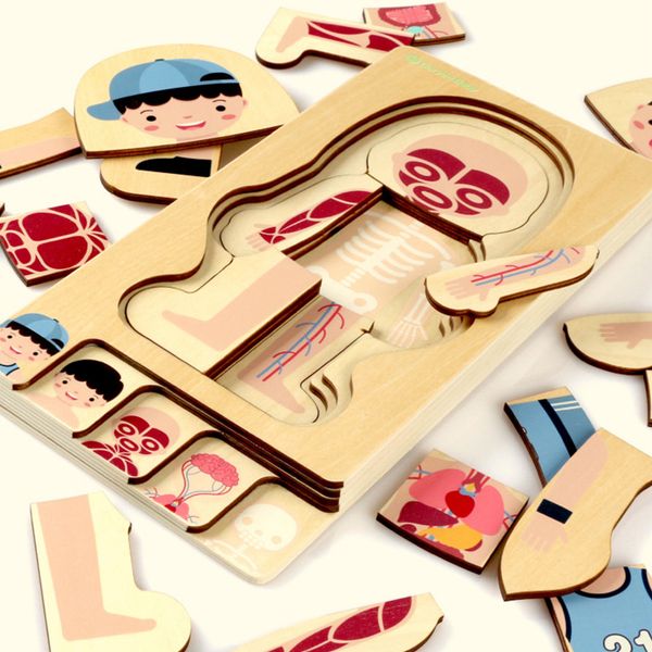 montessori educational boys girls body structure puzzle children wooden toys children puzzles kids early educational toys y200317
montessori educational boys girls body structure puzzle children wooden toys children puzzles kids early educational toys y200317