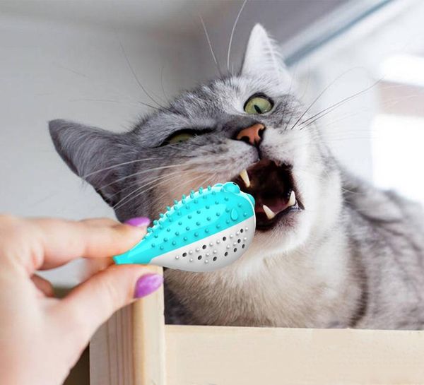 cat toys pet fish-shaped toothbrush can hold mint artificial fish tooth bad breath cleaning tool supplies
cat toys pet fish-shaped toothbrush can hold mint artificial fish tooth bad breath cleaning tool supplies