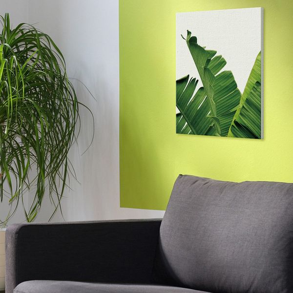 green plants canvas art wall decoration tropical leaves nordic style watercolor pictures modern artwork home decor
green plants canvas art wall decoration tropical leaves nordic style watercolor pictures modern artwork home decor