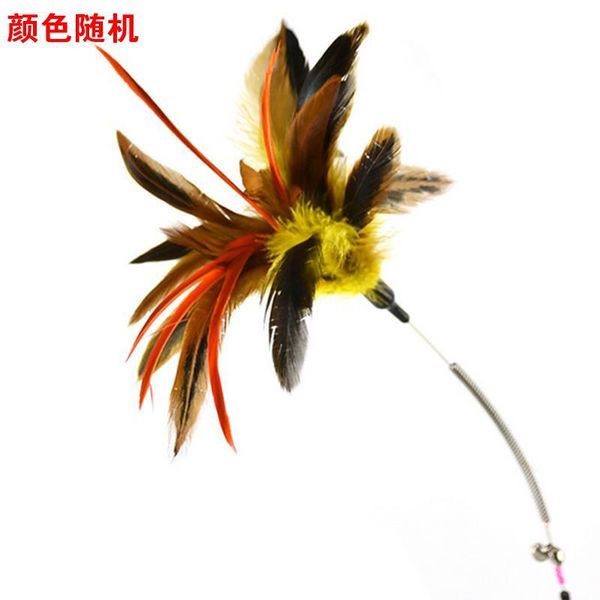 pet cat dropping shipping 15 teaser types plasticsteel cat interactive toys cats wandtoy cat wirefeather christmas toy for bbyegn
pet cat dropping shipping 15 teaser types plasticsteel cat interactive toys cats wandtoy cat wirefeather christmas toy for bbyegn