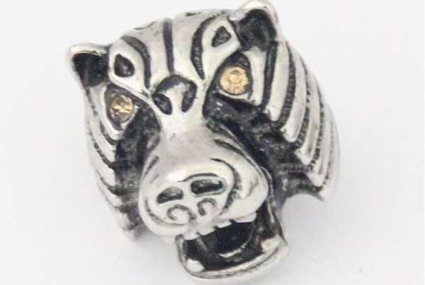 fit кнопка мгновенного jelwery аксессуары cat tiger pattern diy animal fox куски кнопка унисекс браслет нуса 18мм нуса привязать sqcyw bdefa
fit кнопка мгновенного jelwery аксессуары cat tiger pattern diy animal fox куски кнопка унисекс браслет нуса 18мм нуса привязать sqcyw bdefa