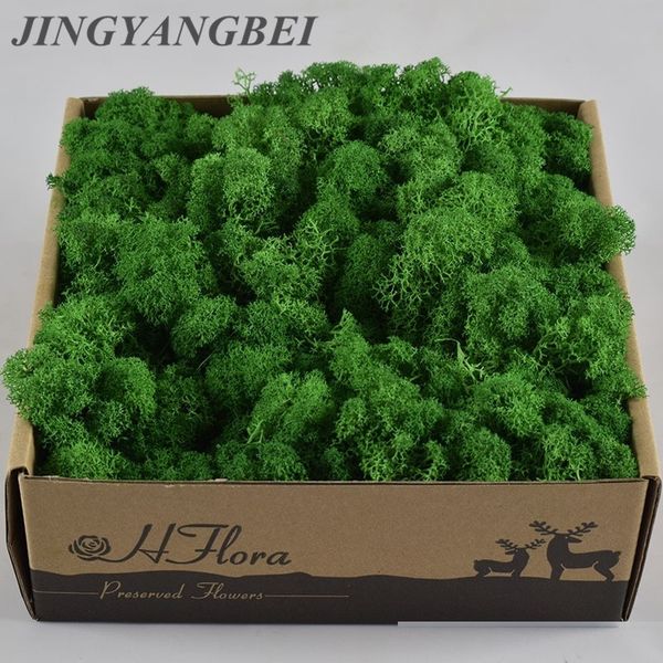 1000g eternal life moss garden home decoration wedding wall flower material natural reindeer moss micro landscape accessories t200103
1000g eternal life moss garden home decoration wedding wall flower material natural reindeer moss micro landscape accessories t200103