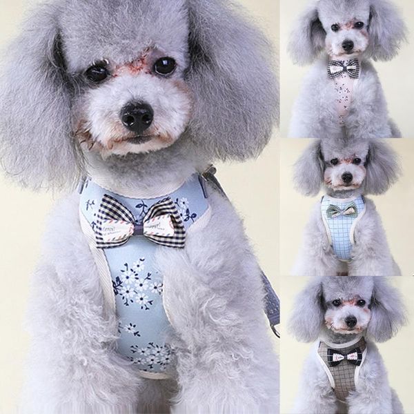 pet dog bow tie harness with quality cotton leash pet breathable adjustable walking vest strap for small medium puppy cat
pet dog bow tie harness with quality cotton leash pet breathable adjustable walking vest strap for small medium puppy cat