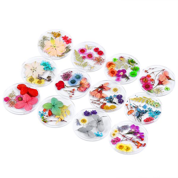 1 box mix color nail сушеных цветы nail art decoration real сухих сушеный цветок mix ювелирные изделия diy цветочного маникюр инструмент, Silver;gold
1 box mix color nail сушеных цветы nail art decoration real сухих сушеный цветок mix ювелирные изделия diy цветочного маникюр инструмент, Silver;gold