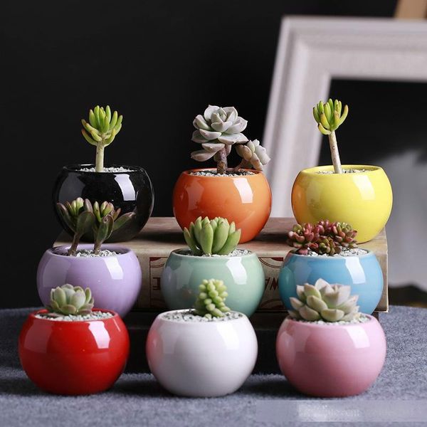 ceramic pots succulents flower pot small ball round white porcelain white color mini creative ing
ceramic pots succulents flower pot small ball round white porcelain white color mini creative ing