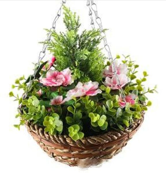 plastic artificial flowers with hanging basket artificial flower for wall shop garden decoration
plastic artificial flowers with hanging basket artificial flower for wall shop garden decoration