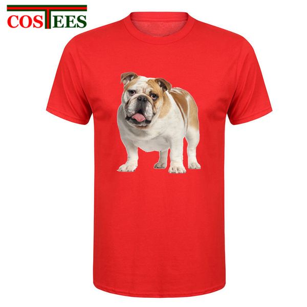 2017 summer fashion brand man clothing english bulldog design t shirts men men's kawaii dog hipster tee
2017 summer fashion brand man clothing english bulldog design t shirts men men's kawaii dog hipster tee