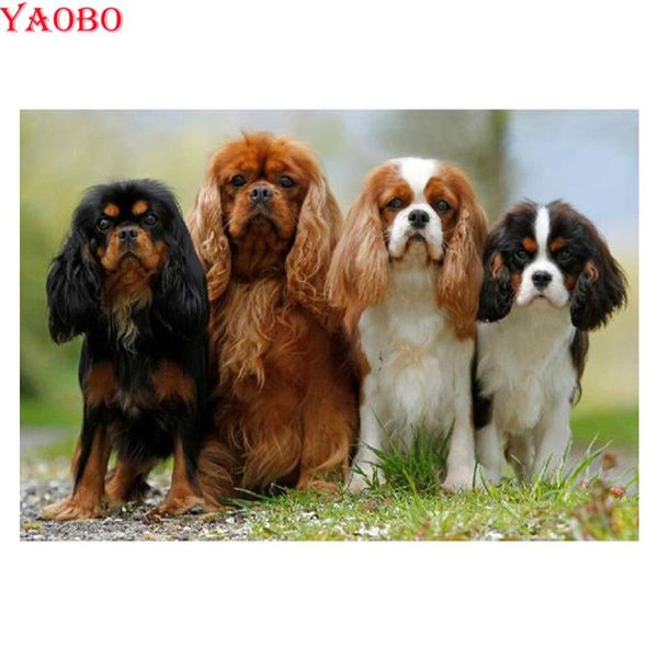 diy diamond embroidery cavalier king charles spaniel,diamond mosaic dog,full round,cross stitch,rhinestone with diamond painting
diy diamond embroidery cavalier king charles spaniel,diamond mosaic dog,full round,cross stitch,rhinestone with diamond painting