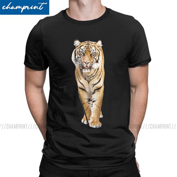 fun tiger animals t-shirt men crew neck pure cotton t shirt short sleeve tees party clothing