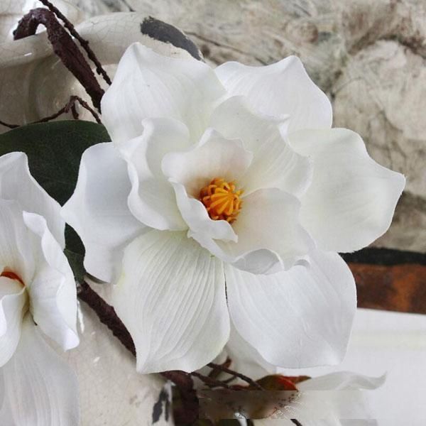 artificial magnolia rattan wall mounted flowers vine rattan wedding decoration festive and party supplies decorative flowers 0032fl
artificial magnolia rattan wall mounted flowers vine rattan wedding decoration festive and party supplies decorative flowers 0032fl