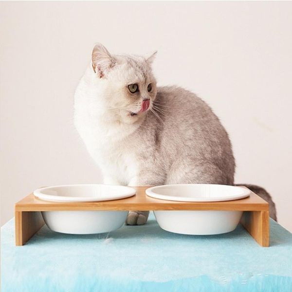 cat dog feeders bowl pet water bowl 1/2 bowls ceramic tableware bamboo frame antiskid pet supplies dog cat feeding
cat dog feeders bowl pet water bowl 1/2 bowls ceramic tableware bamboo frame antiskid pet supplies dog cat feeding