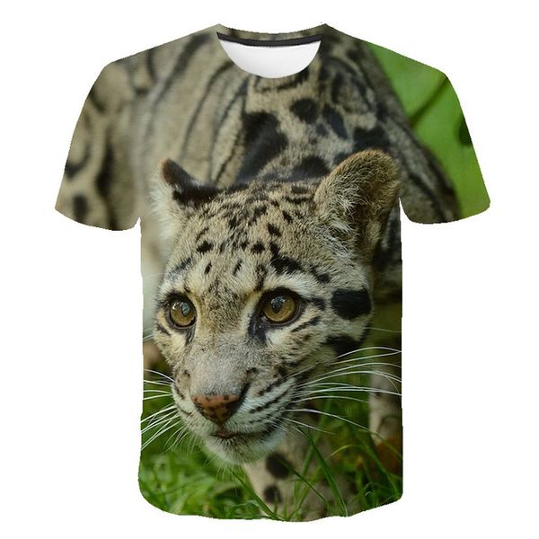 animal fiercely tiger o collar dizziness 3d print shirts horror graphic hentai men clothing
animal fiercely tiger o collar dizziness 3d print shirts horror graphic hentai men clothing