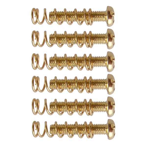 6x electric guitar tailpiece fixing mounting screws w/ straight springs 
6x electric guitar tailpiece fixing mounting screws w/ straight springs