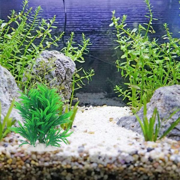 artificial water aquarium green grass long leaf plant landscape decor
artificial water aquarium green grass long leaf plant landscape decor