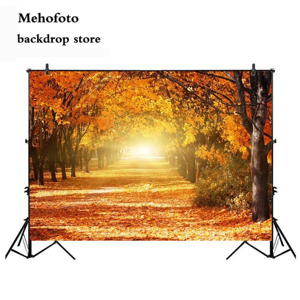 mehofoto autumn scenery pgraphy backdrops s backdrop for p studio road forest tree vinyl seamless 953
mehofoto autumn scenery pgraphy backdrops s backdrop for p studio road forest tree vinyl seamless 953