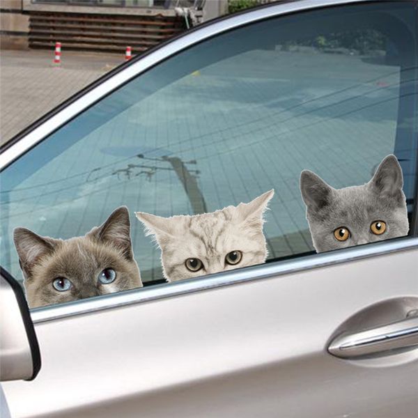 3d vivid effect cats dogs wall stickers for kids rooms bathroom toilet car window pvc animals wall decals diy posters decoration
3d vivid effect cats dogs wall stickers for kids rooms bathroom toilet car window pvc animals wall decals diy posters decoration