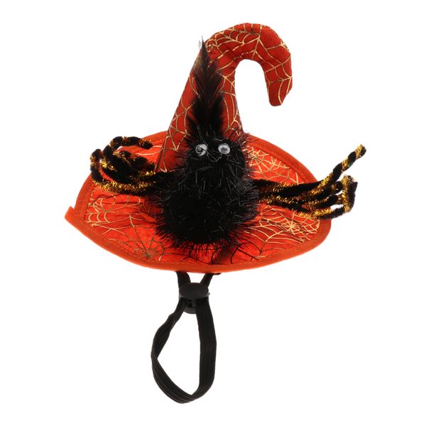 pet halloween hat witch cap party costume headwear cosplay accessories cats dogs
pet halloween hat witch cap party costume headwear cosplay accessories cats dogs