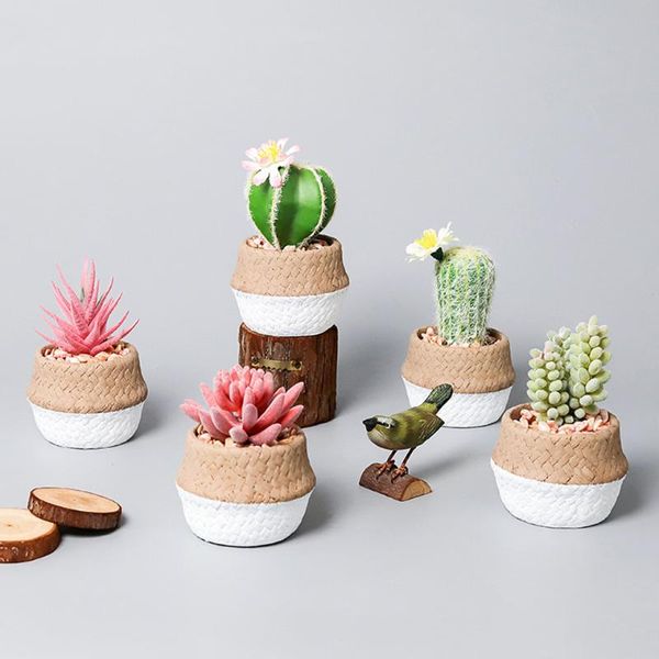 decorative flowers & wreaths nordic simple succulent cactus simulation small potted plant home office deskdecoration fake flower ornamen
decorative flowers & wreaths nordic simple succulent cactus simulation small potted plant home office deskdecoration fake flower ornamen