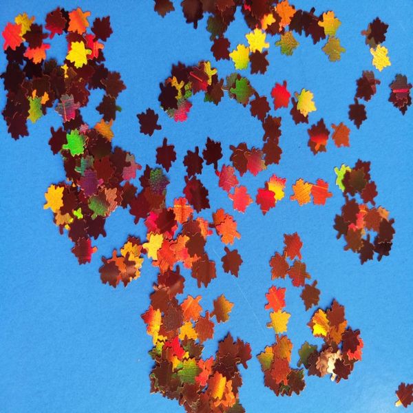 1kilograms autumn leaf laser flashes orange maple sequins glitter sequins super bright -shaped laser glitter flakes, Silver;gold
1kilograms autumn leaf laser flashes orange maple sequins glitter sequins super bright -shaped laser glitter flakes, Silver;gold