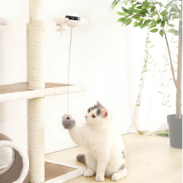 electric automatic lifting cat ball toy interactive puzzle smart pet cat ball teaser toys pet supply lifting balls electric mj81
electric automatic lifting cat ball toy interactive puzzle smart pet cat ball teaser toys pet supply lifting balls electric mj81