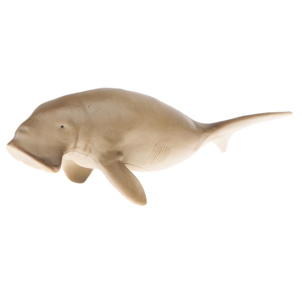 plastic ocean animal figurine toy for kids toddlers, dugong dugon manatee model, children birthday gift home decor
plastic ocean animal figurine toy for kids toddlers, dugong dugon manatee model, children birthday gift home decor