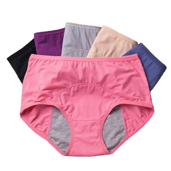3pcs leak proof menstrual panties physiological pants women underwear period cotton waterproof briefs, Black;pink
3pcs leak proof menstrual panties physiological pants women underwear period cotton waterproof briefs, Black;pink